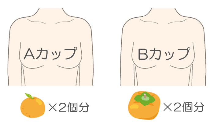 AカップとBカップの脂肪量を果物で表した画像